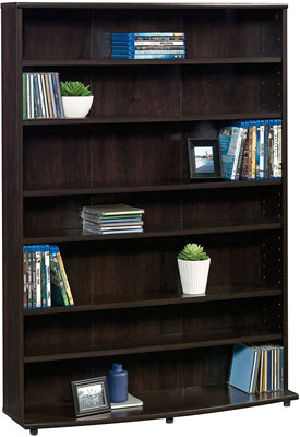 1. Sauder Multimedia Storage Cabinet