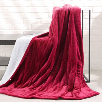 MaxKare Programmable Heated Blanket