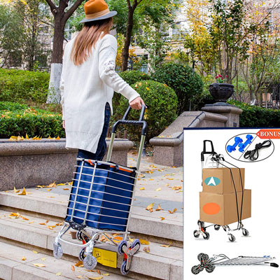3. Hereinway Shopping Cart with Handle